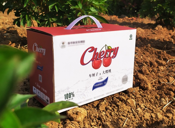 櫻桃、車厘子禮盒